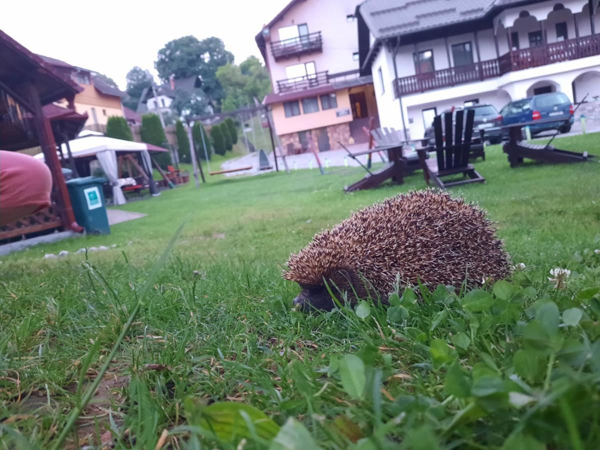 Pensiunea Sarah Bran Törcsvár Kültér fotó